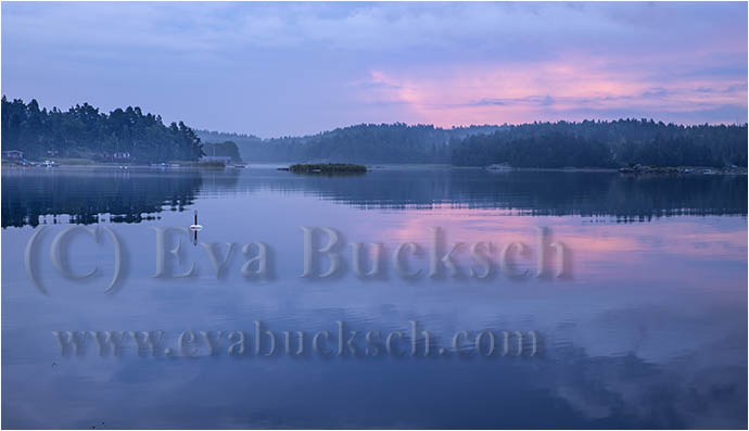 Gryningsskimmer - foto av Eva Bucksch